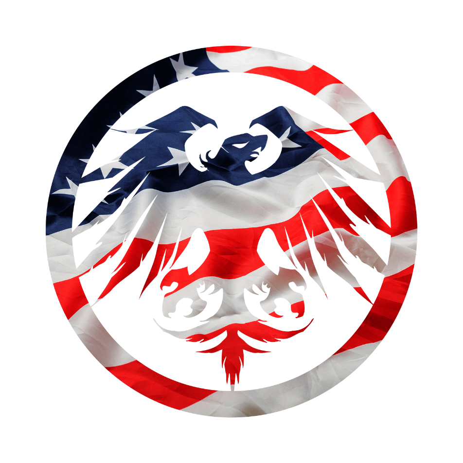 USA Eagle Die Cut Sticker