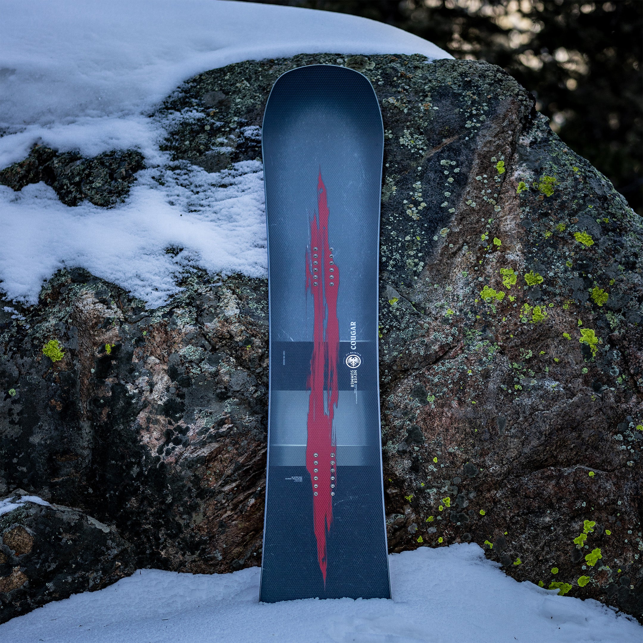 Men's 2024 Cougar Snowboard | Never Summer – Never Summer Snowboards