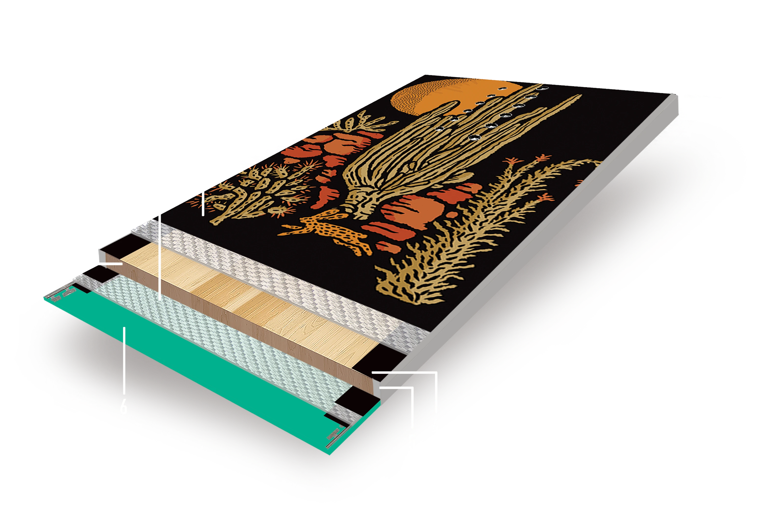 Women's Cirrus Board Cross Section