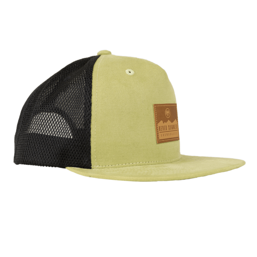 Never Summer x Grassroots Leather Patch Snapback Hat | Shop Apparel ...